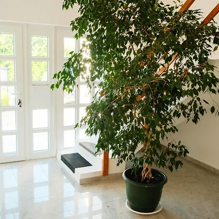 Luka Apartment Sukosan
